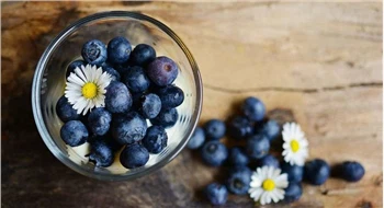 Efeito antiviral de extratos vegetais