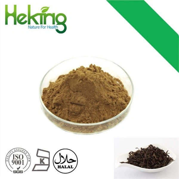 Extrato de chá preto