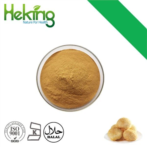 Extrato de Hericium Erinaceus